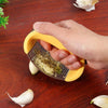 Savor Flavor: Precision Stainless Steel Garlic Press